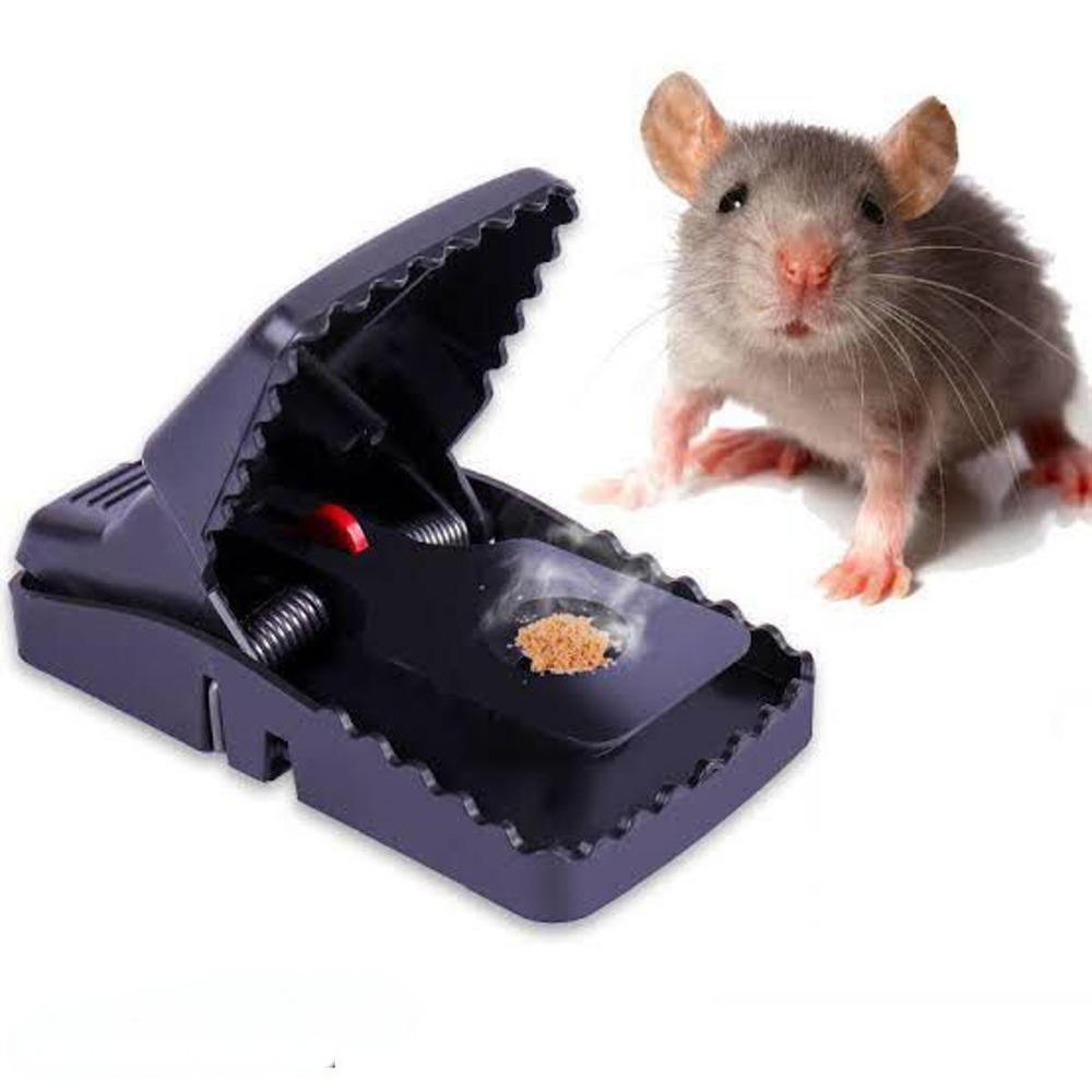 Plastic Mouse Trap, Pack Of Two